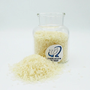 gelatine gelatin for ice cream manufacturer halal